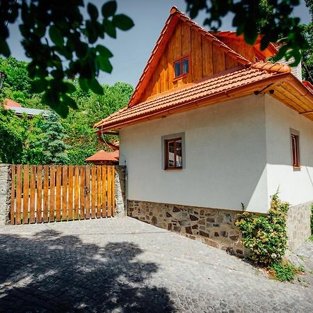 Villa Stara Mytnica Banská Štiavnica Exterior foto